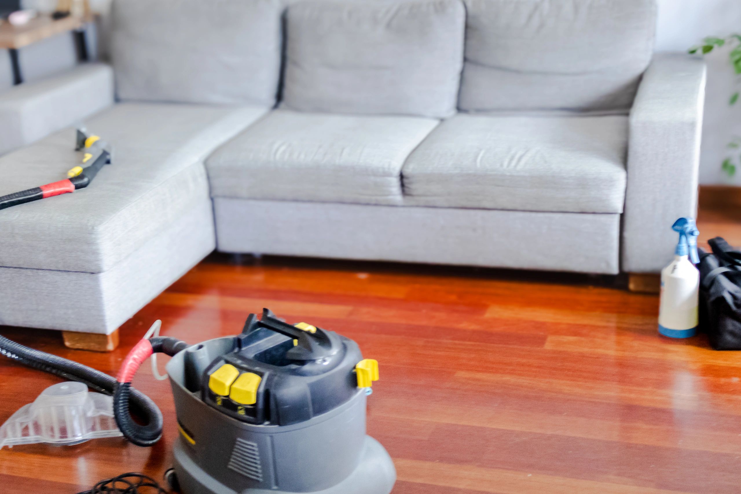 Detailed upholstery and deep cleaning service in a modern home